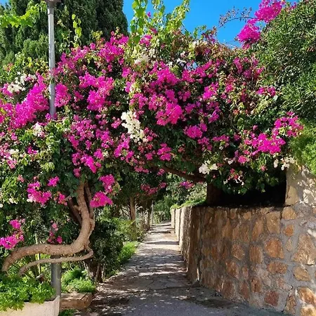 Sol Mediterraneo - Palm 4 Διαμέρισμα *